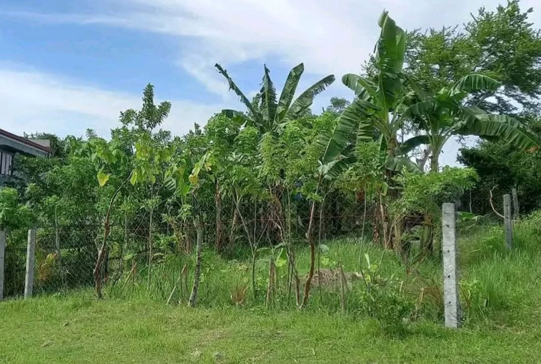 Lot for sale, 200 sqm — Curvada, Cataingan