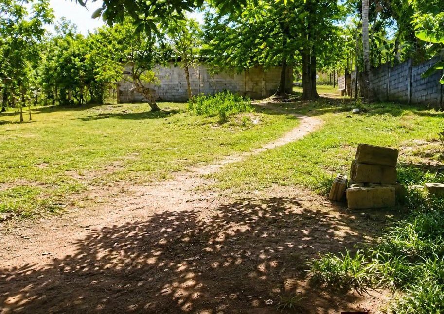 Lot for sale, 350 sqm along the road — Brgy. Burgos, San Jacinto (Ticao)