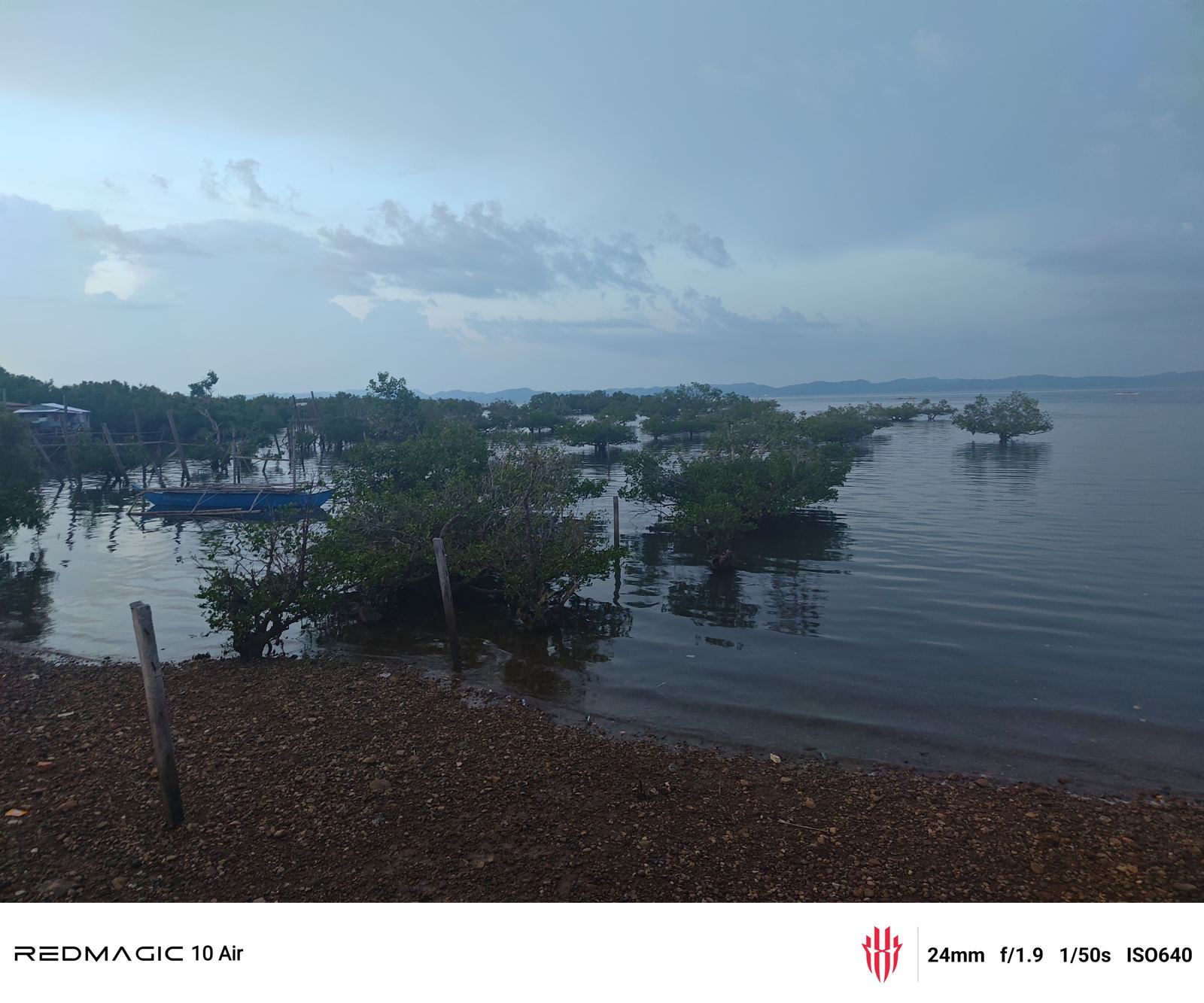 Mangroves in the shallows near Masbate City